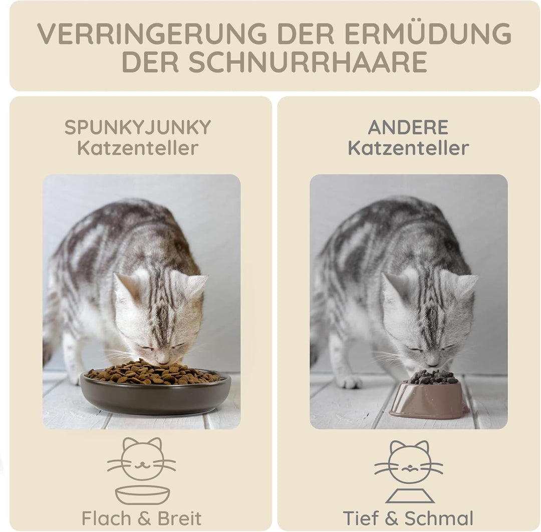 SPUNKYJUNKY Katzennäpfe 3 Stück Futternäpfe Keramik Fressnapf für Katzen (Grau), Grau