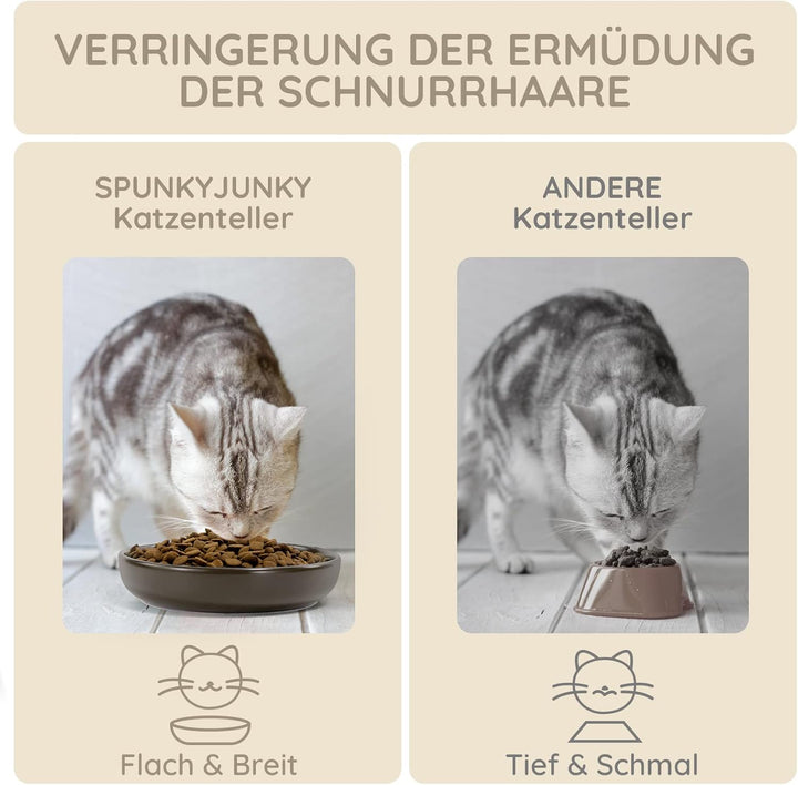 SPUNKYJUNKY Katzennäpfe 3 Stück Futternäpfe Keramik Fressnapf für Katzen (Grau), Grau