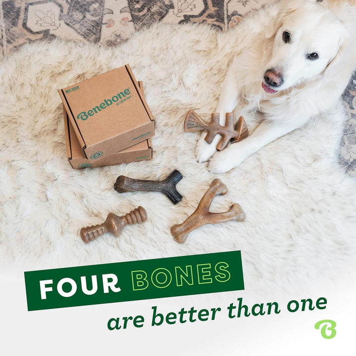 Benebone Unzerstörbare Geschenkbox mit Kauspielzeug für aggressive Kauer, inkl. Wishbone, Fishbone,