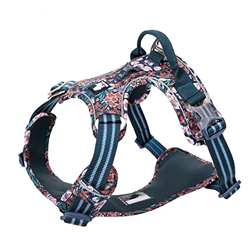 WINHYEPET Truelove No-Pull-Hundegeschirr, Baumwollgewebe atmungsaktiv und reflektierend weich, verst