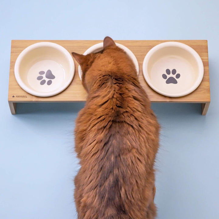 Navaris Futternapf Katze mit Bambus Halter - Futterstation Set Keramiknapf für Katzen Hunde - Kerami