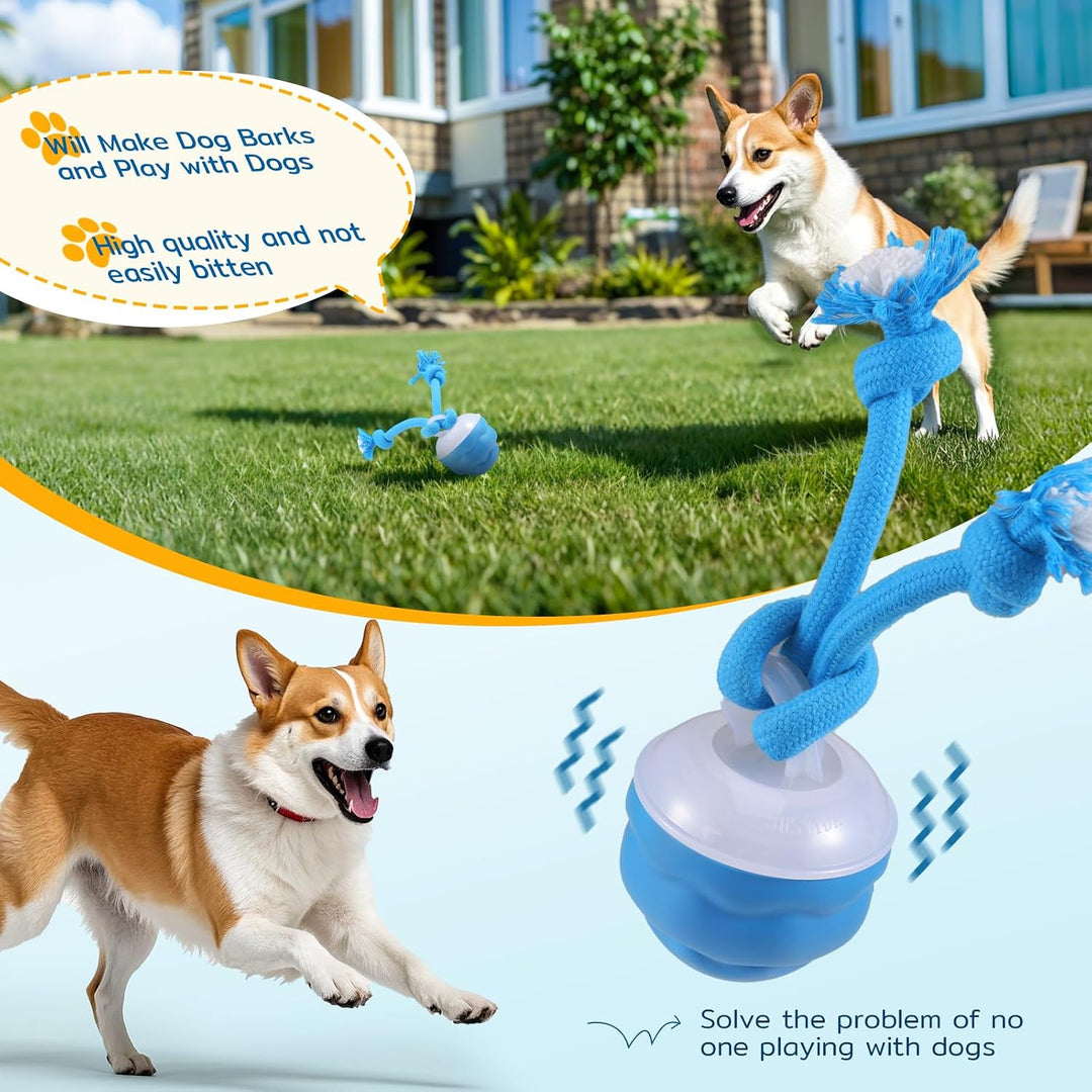 Interaktiver Ball, Rollt &amp; Springt, USB-C, für kleine Hunde blau, blau