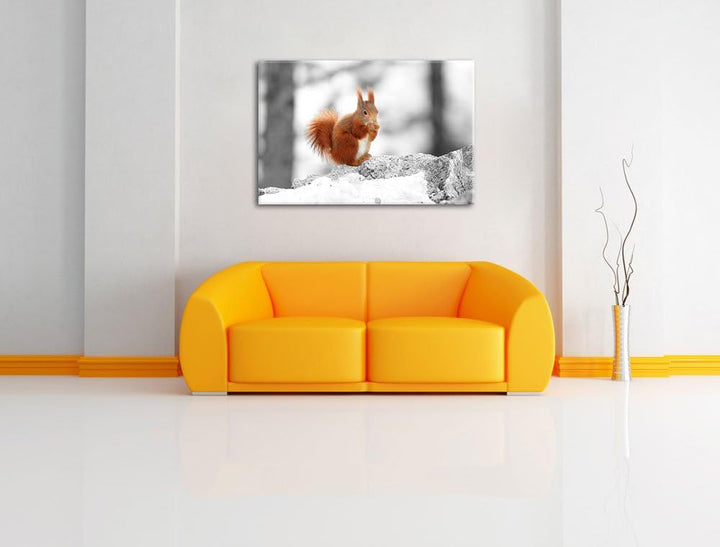 niedliches Eichhörnchen in verschneitem Wald schwarz/weiss Format: 100x70 auf Leinwand, XXL riesige