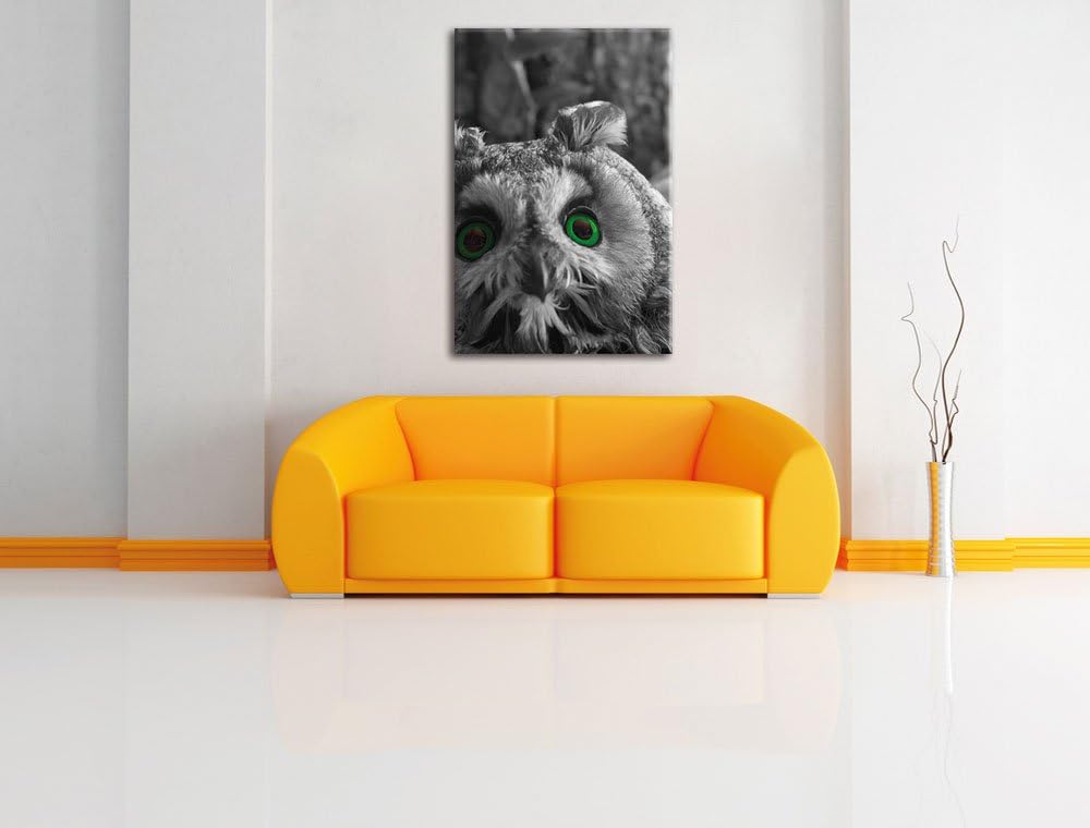 Pixxprint Niedliche Eule mit Grünen Augen als Leinwandbild/Grösse: 120x80 cm/Wandbild/Kunstdruck/fer