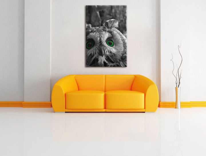 Pixxprint Niedliche Eule mit Grünen Augen als Leinwandbild/Grösse: 120x80 cm/Wandbild/Kunstdruck/fer