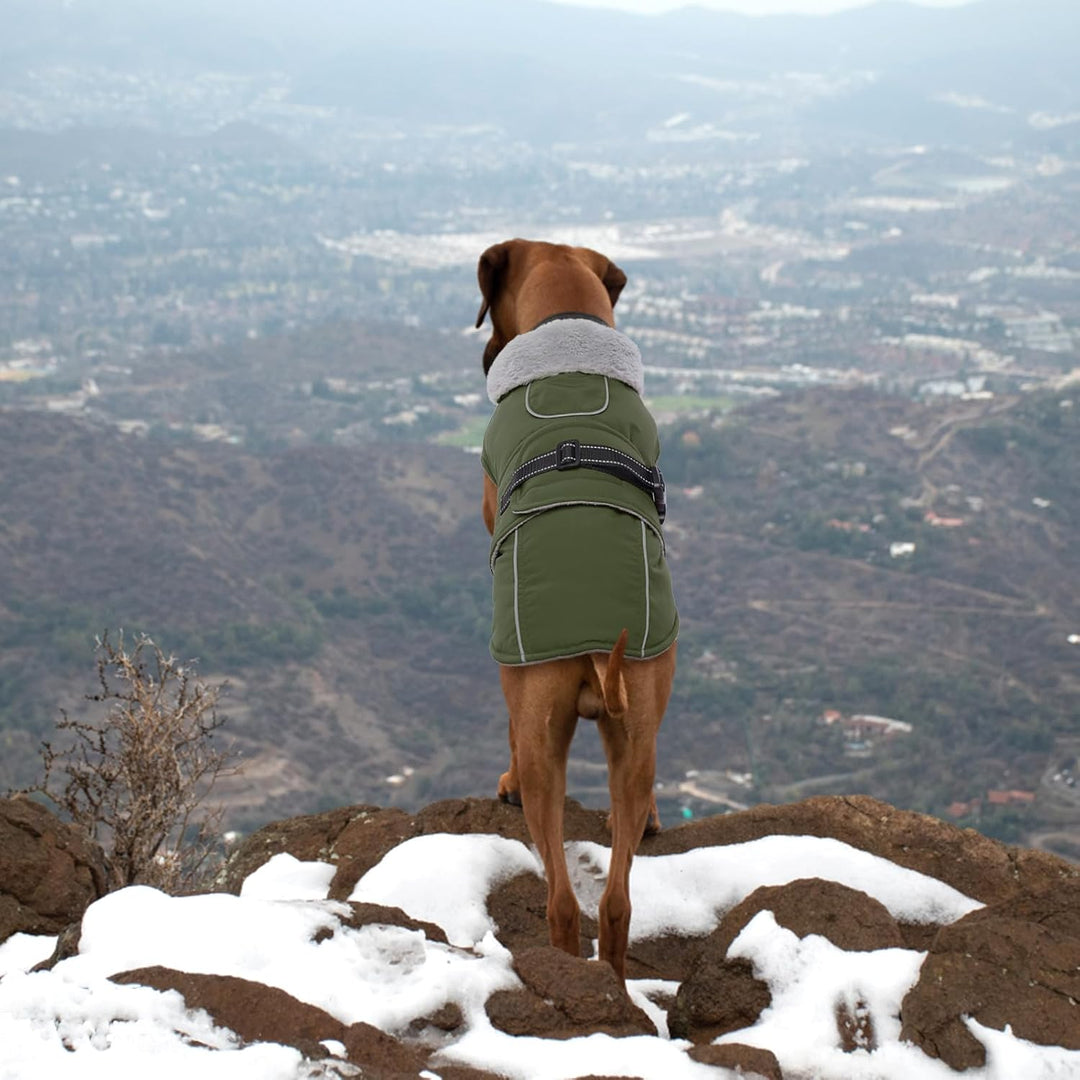 Lelepet Hundejacke Winter Warmer Hundemantel, Wasserdichter Wintermantel Fleece Hundeweste für Mitte