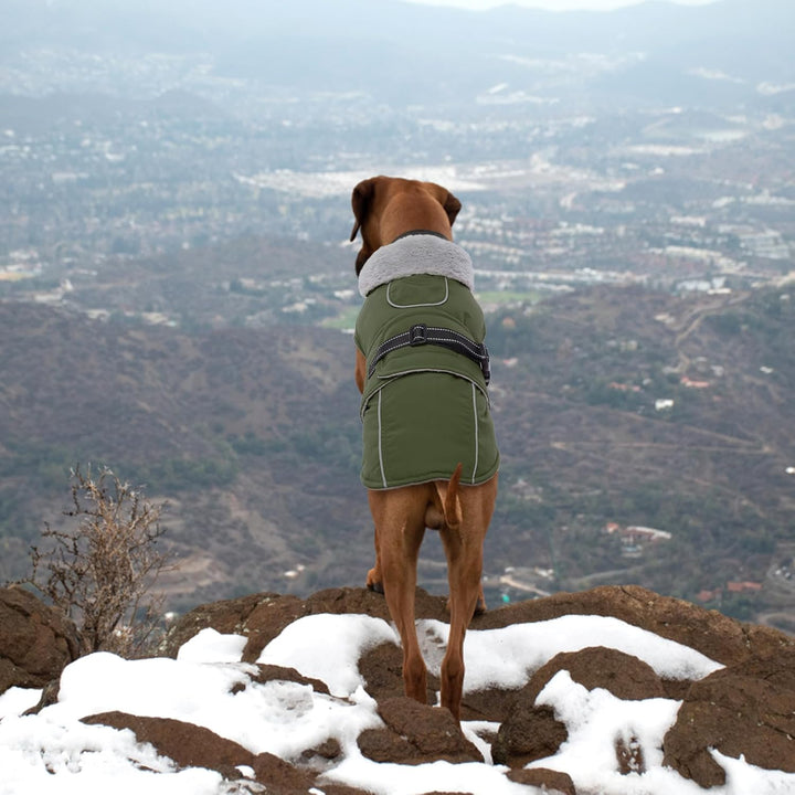 Lelepet Hundejacke Winter Warmer Hundemantel, Wasserdichter Wintermantel Fleece Hundeweste für Mitte