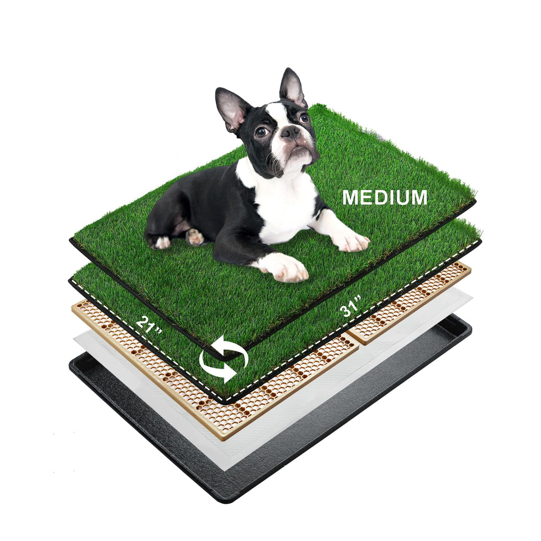 MEEXPAWS Mittelgross Hundetoilette aus Kunstrasen mit Tablett | 79×53 cm|2 Robustes Gras-Ersatzset|