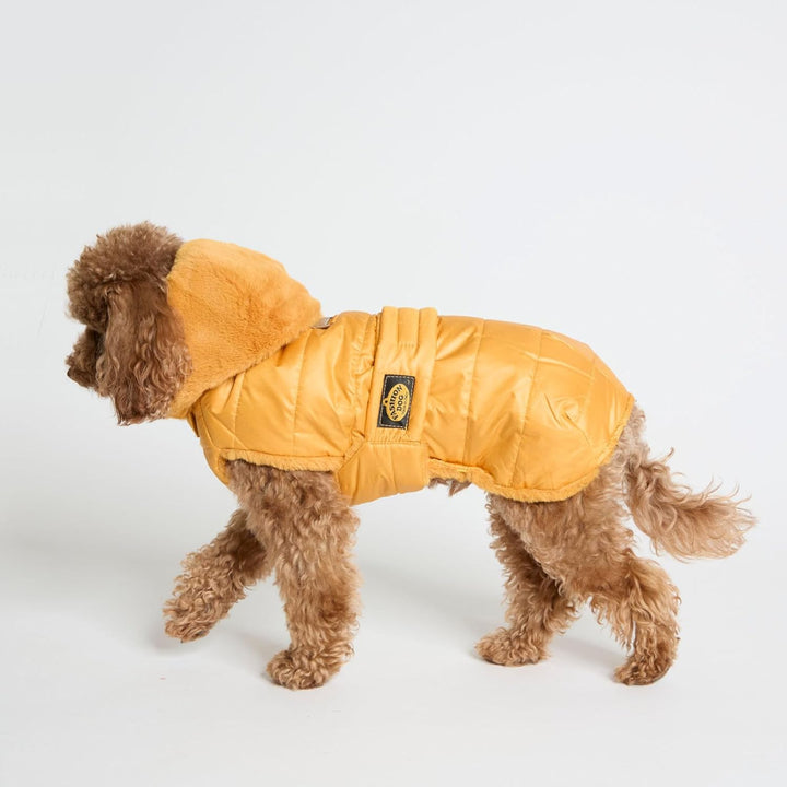 Fashion Dog Hunde-Steppmantel mit Abnehmbarer Kapuze - Ocker-Gelb - 27 cm, 27 cm