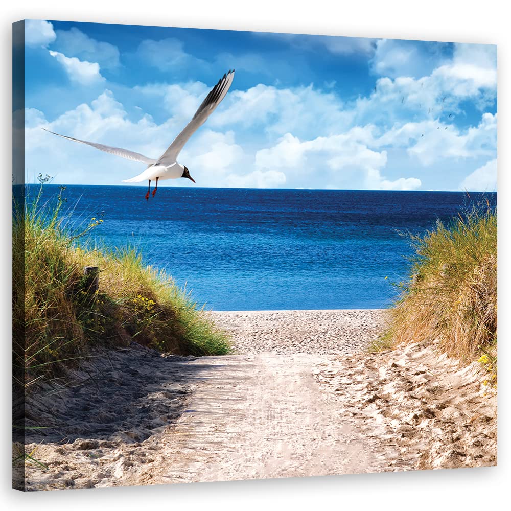 Feeby Wanddeko Ostsee Nordsee Strand 50x50 cm Leinwandbild Kunstdruck Möwe Pfad Gras Blau 17253 50x5