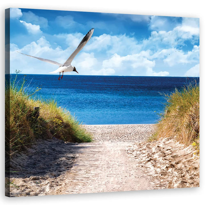 Feeby Wanddeko Ostsee Nordsee Strand 50x50 cm Leinwandbild Kunstdruck Möwe Pfad Gras Blau 17253 50x5