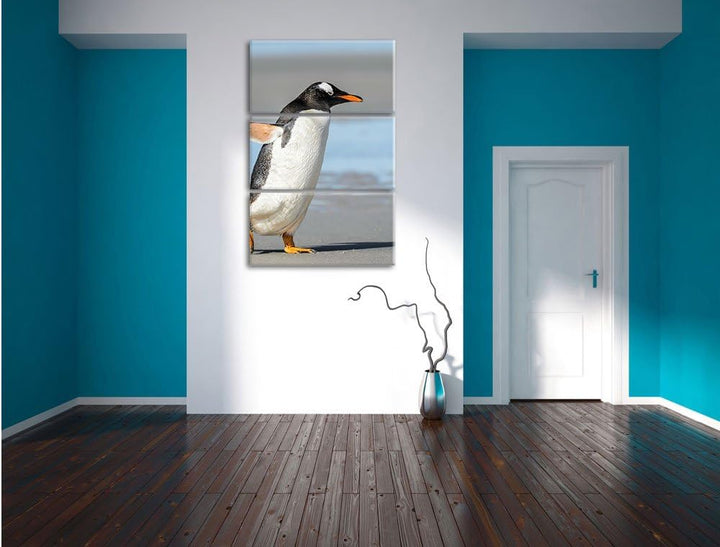 Pinguin am Strand 3-Teiler Leinwandbild 120x80 Bild auf Leinwand