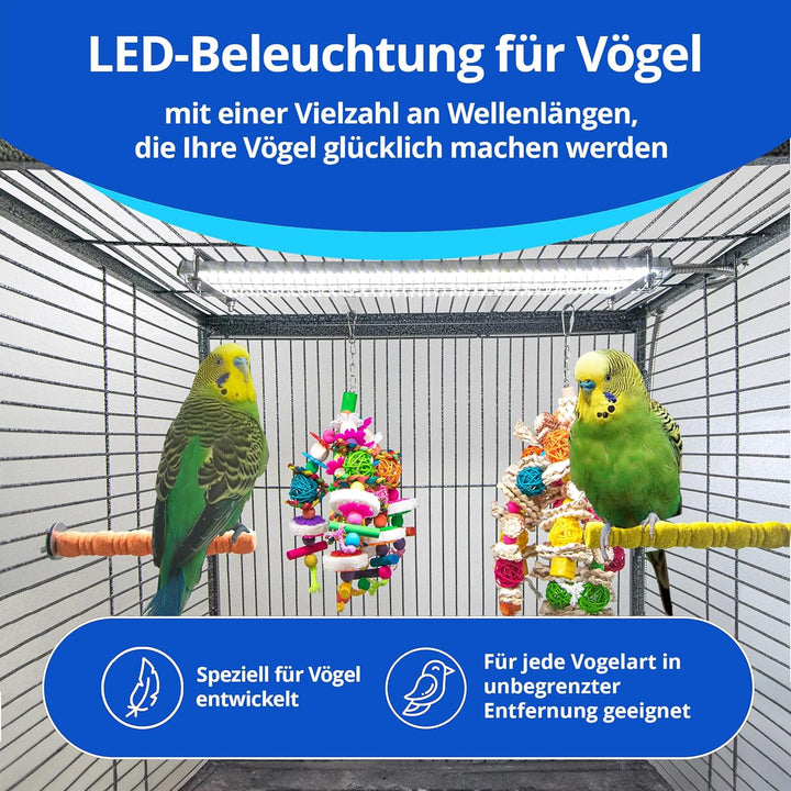 M&M Cage Company HappyBird Vogellampe mit Knabberschutz | Vollspektrum LED Tageslichtlampe für Vögel
