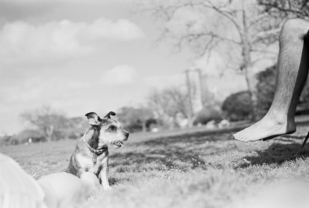 ISO 400 SHD400 Schwarzweissfilm 35mm für Campus-Projekte, scan-freundlich und für Porträts, 36EXP -