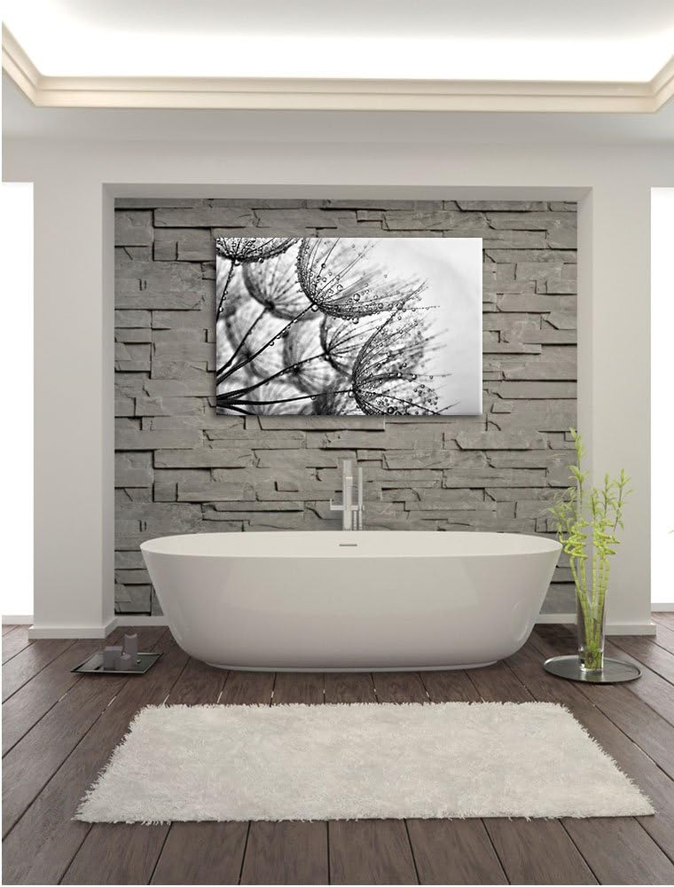 Pixxprint Monocrome, Tropfen bedeckte Pusteblumen, Format: 100x70 auf Leinwand, 100x70
