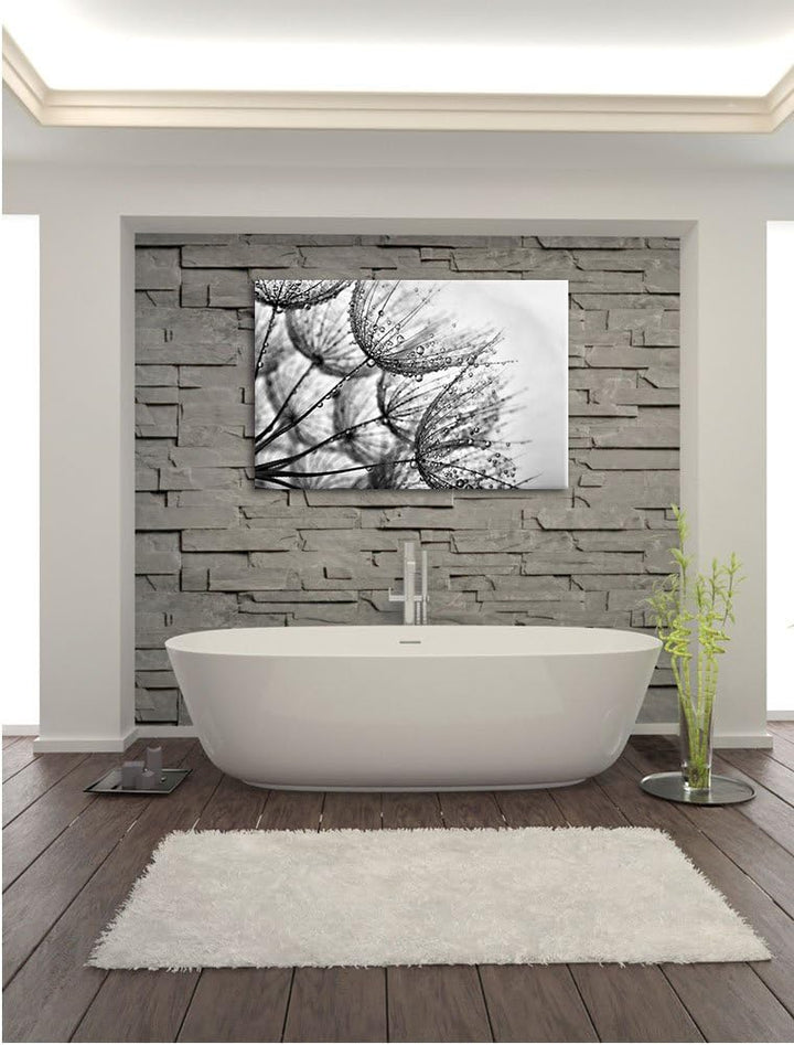 Pixxprint Monocrome, Tropfen bedeckte Pusteblumen, Format: 100x70 auf Leinwand, 100x70
