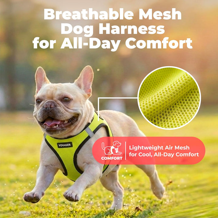 Voyager Step-In Air-Hundegeschirr – Allwetter-Mesh-Weste für kleine und mittelgrosse Hunde und Katze