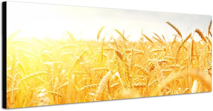 Paul Sinus Art Panoramabild auf Leinwand und Keilrahmen 120x40cm Kornfeld Herbst Sonnenstrahlen