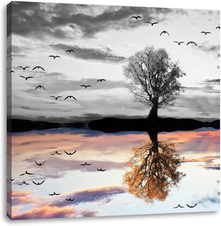 Pixxprint Baum der Sich im Wasser spiegelt als Leinwandbild Quadratisch/Grösse: 70x70 / Wandbild/Kun