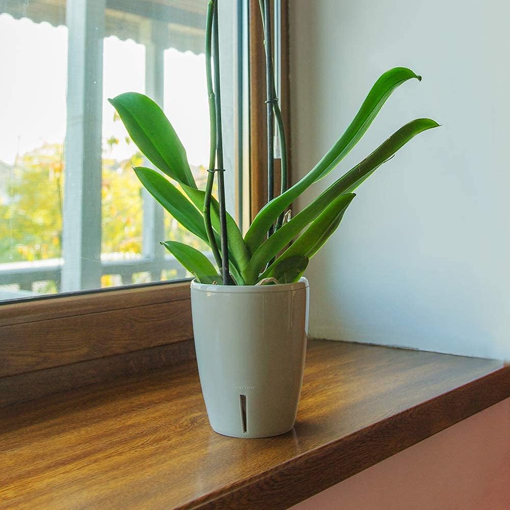 Santino 4er-Set Orchideentopf D 15cm Selbstbewässernder Topf mit Dochtsystem und Wasserstandsanzeige