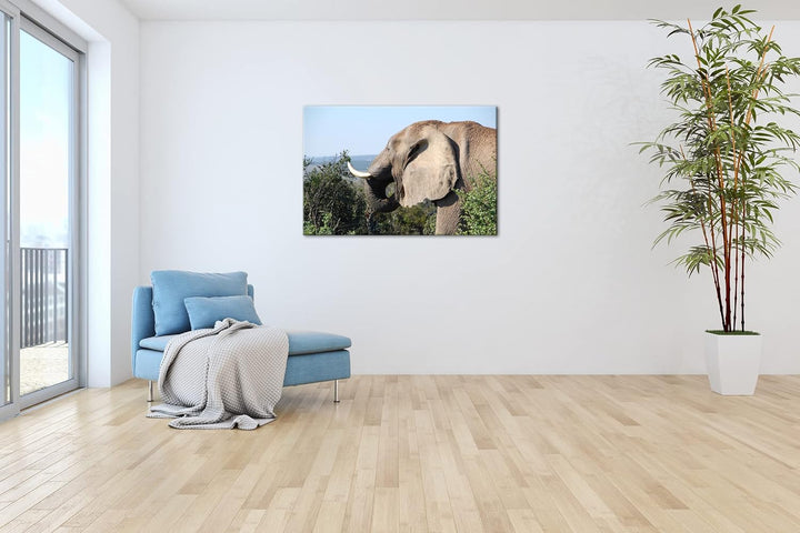 deyoli grosser Elefant Format: 100x70 als Leinwand, Motiv fertig gerahmt auf Echtholzrahmen, Hochwer