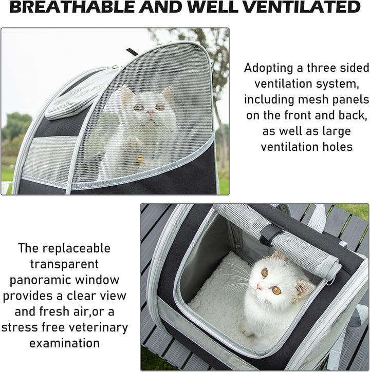 BORDEAG Katzenrucksack Hunderucksack, Katzen Rucksack, Hunderucksack Haustierrucksack, Katzen Transp