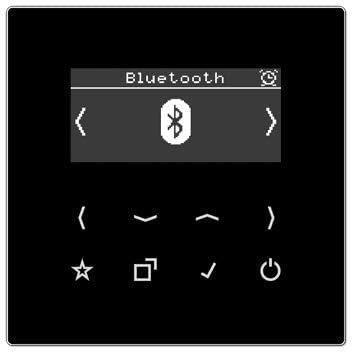 Jung Smart Radio DAB Bluetooth Komplett-Set Serie LS Schwarz mit 2 Lautsprechern DABLS2BTSW und 3-Fa