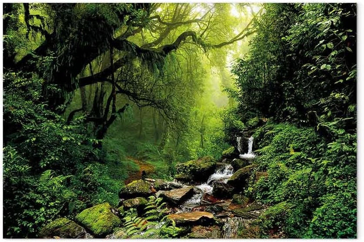 murando - Bilder Wald Bach 120x80 cm Vlies Leinwandbild 1 tlg Kunstdruck modern Wandbilder XXL Wandd