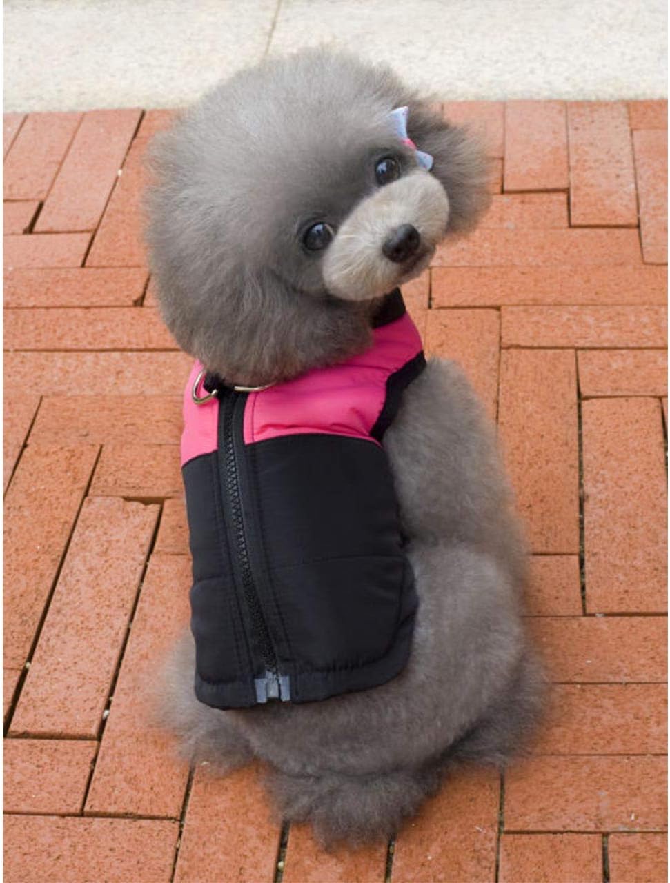 Winter Warm Pet Hund Kleidung klein wasserdichte Hundemantel Jacke Winter Gesteppt Gepolstert Puffer