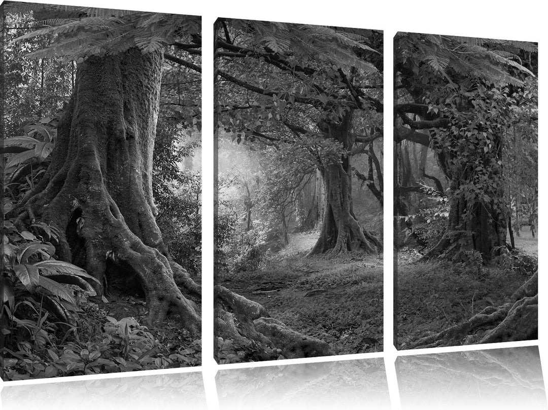 Pixxprint Dschungel im Regenwald als Leinwandbild/Grösse: 3 Teilig (120x80 cm) cm/Wandbild/Kunstdruc