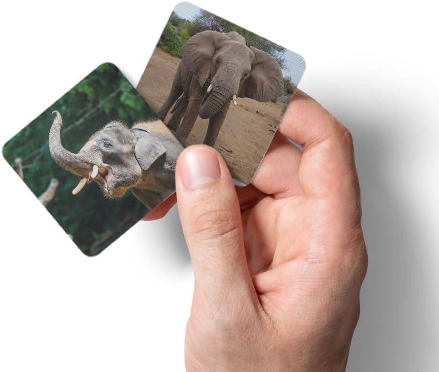 MEINSPIEL - Personalisiertes Memo-Kartenspiel für Kinder - Eigene Fotos auf den Karten - Lernspiel u