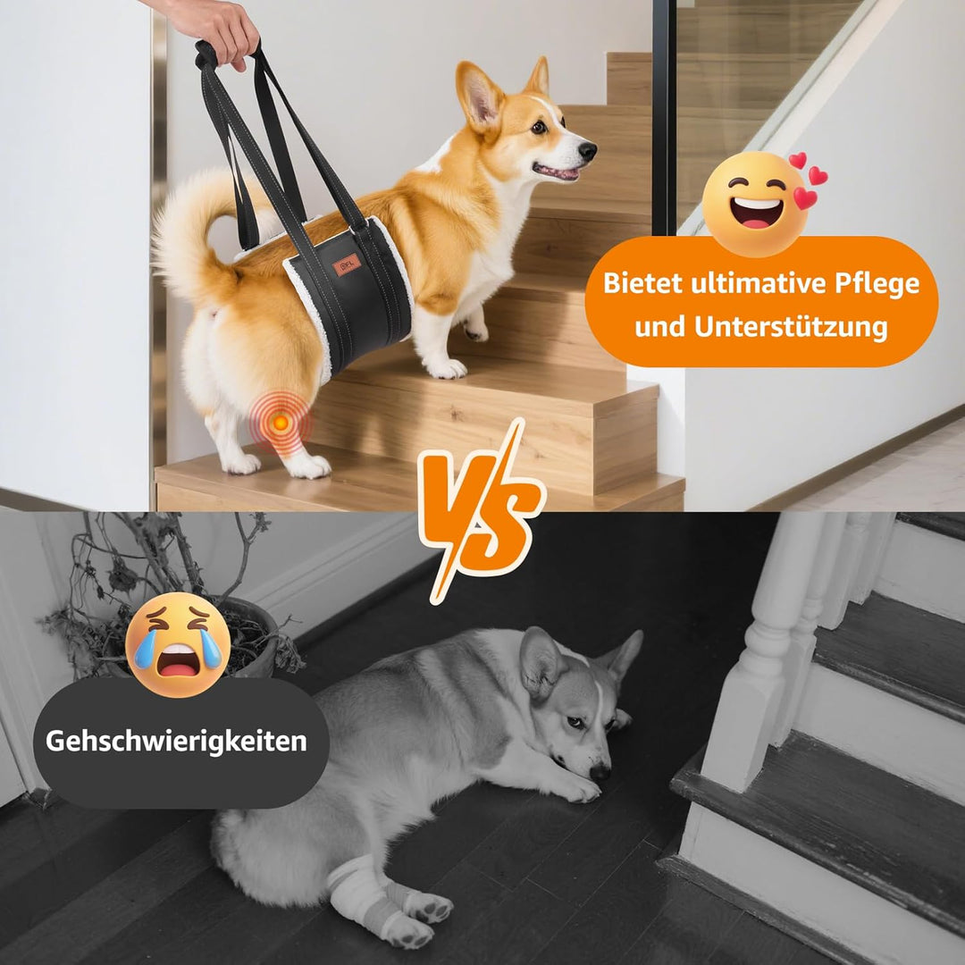 Hundegeschirr Hunde Tragehilfe Einstellbar Gehhilfe Hund Treppe Hund Hinten Lift Support Geschirr Kl