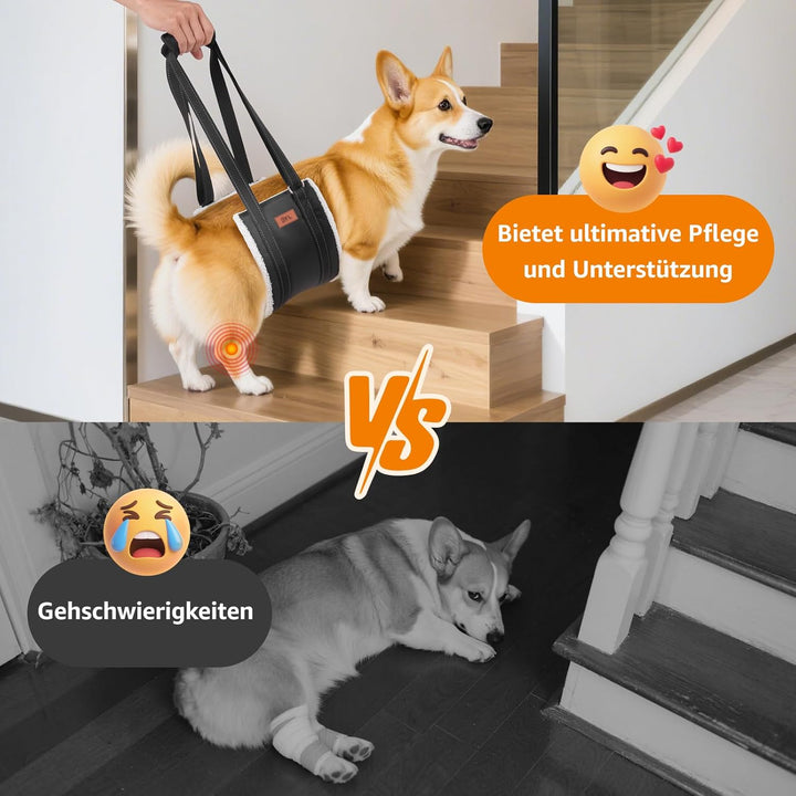 Hundegeschirr Hunde Tragehilfe Einstellbar Gehhilfe Hund Treppe Hund Hinten Lift Support Geschirr Kl