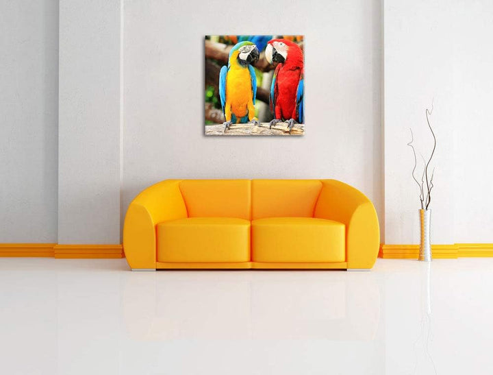 Zwei Papageien auf einem AST, Format: 70x70 auf Leinwand, 70x70