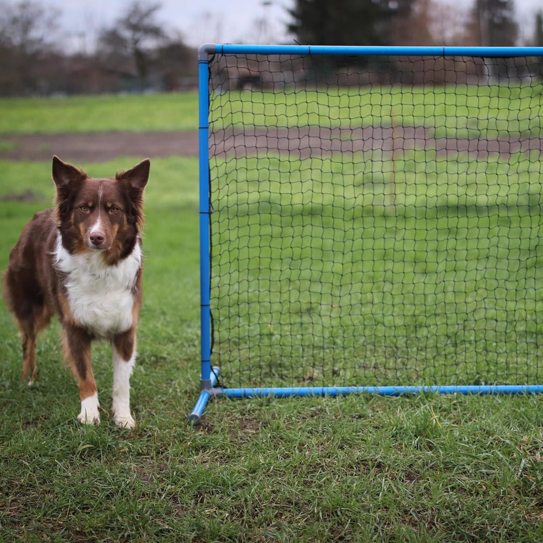 Lemodo Hoopers Agility Fence, Zaun für Hundesport, Trennzaun mit Tragetasche, Hundetraining