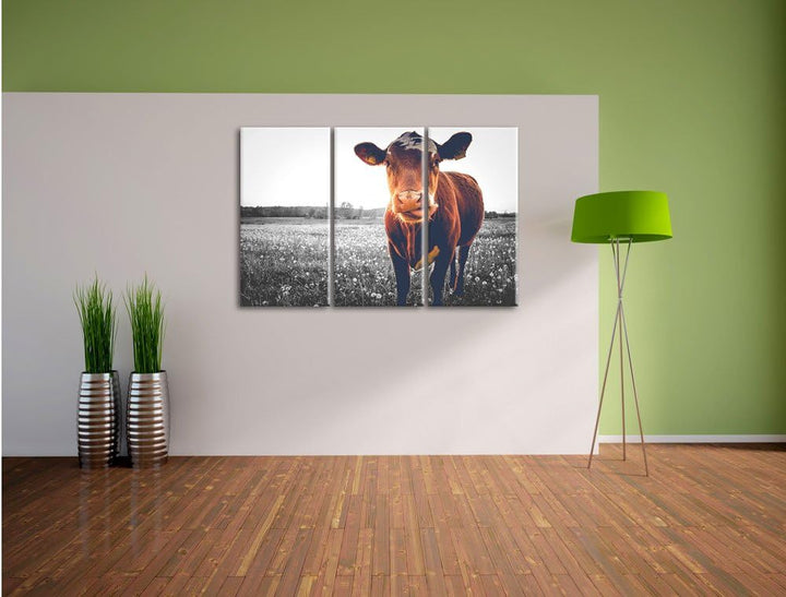 Pixxprint Kuh auf Butterblumenwiese als Leinwandbild/Grösse: 3 Teilig (120x80 cm) cm/Wandbild/Kunstd