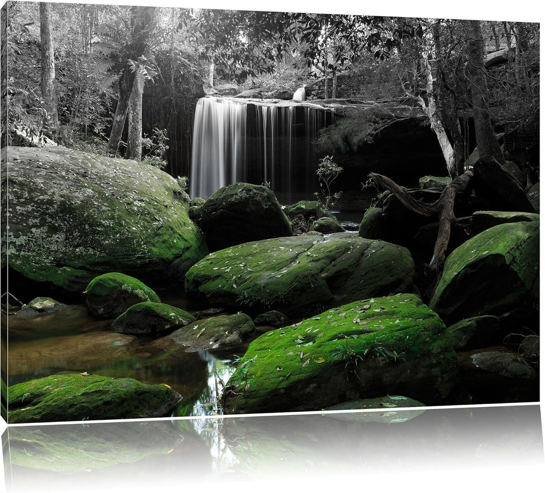 Pixxprint Regenwald in Thailand als Leinwandbild/Grösse: 100x70 / Wandbild/Kunstdruck/fertig bespann