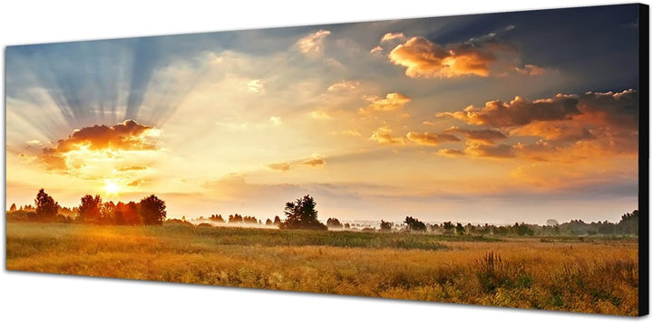 Paul Sinus Art Panoramabild auf Leinwand und Keilrahmen 120x40cm Wiese Landschaft Wolkenhimmel Sonne