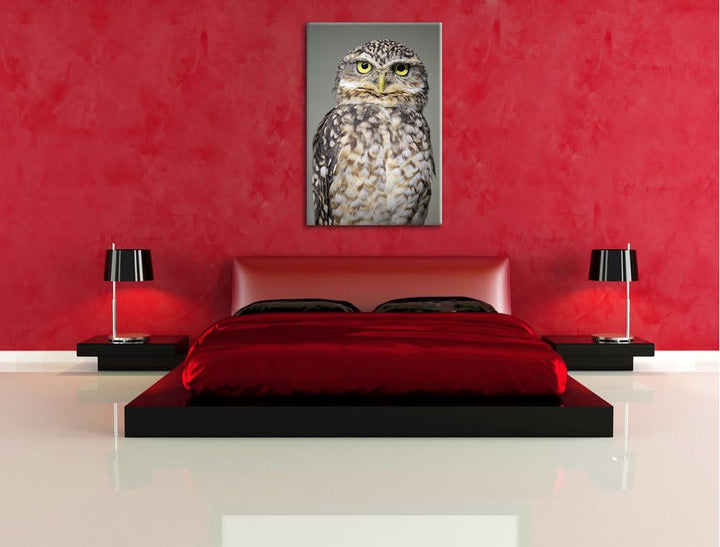 Pixxprint kleine Eule auf Leinwand, XXL riesige Bilder fertig gerahmt mit Keilrahmen, Kunstdruck auf