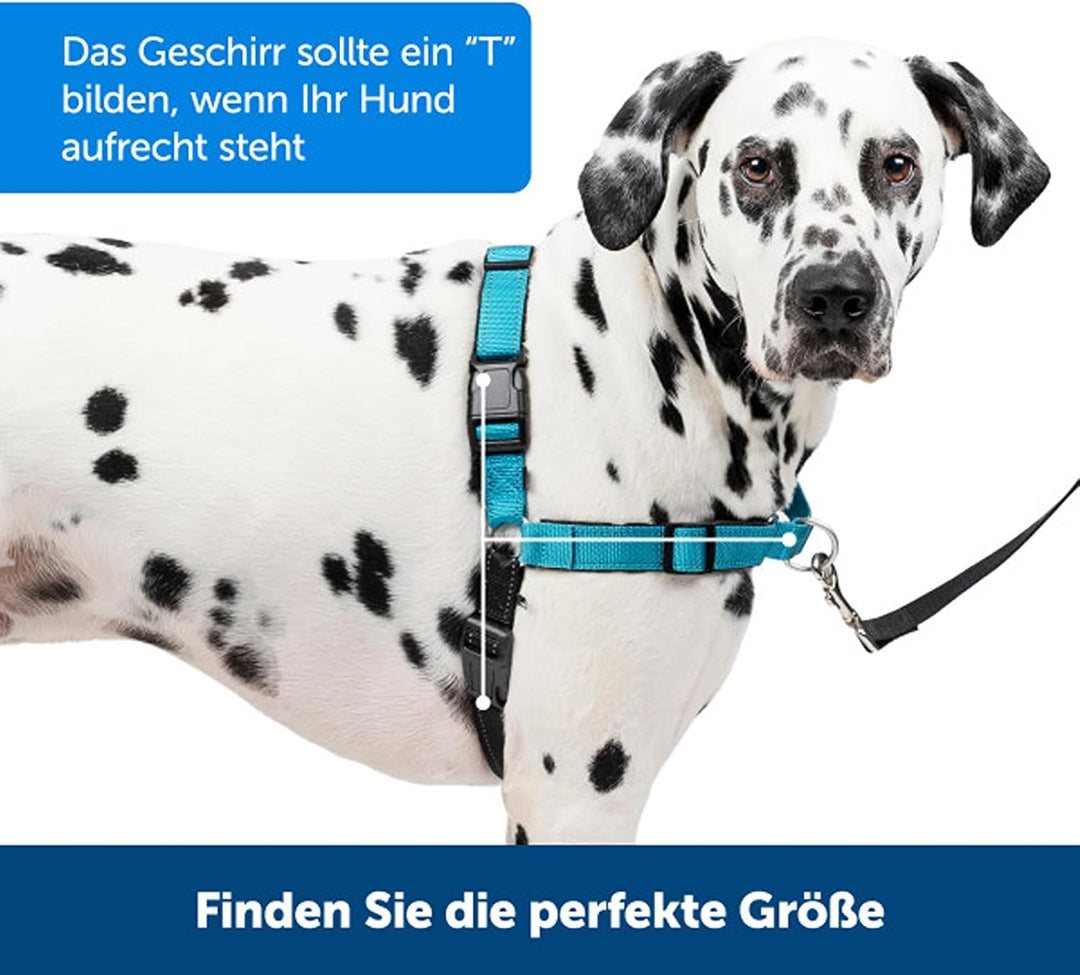 PetSafe Easy Walk Deluxe-Geschirr, reissfestes Gehgeschirr für Hunde, gepolstertes Design, inkl. 1,8