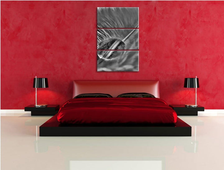 Pixxprint Wassertropfen auf Feder als Leinwandbild/Grösse: 3 Teilig (120x80) cm/Wandbild/Kunstdruck/