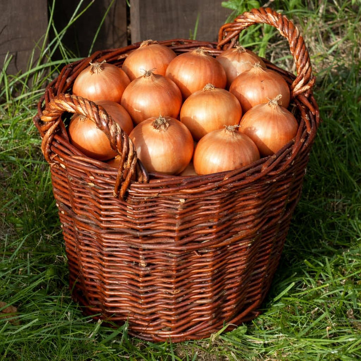 7 Grössen WIKLER Gartenkorb Kartoffelkorb Kaminkorb Holzkorb Weide Kiepe Erntkorb Füllkorb (Ø25cm),