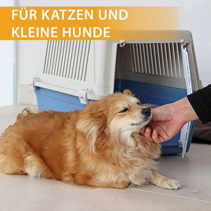 Ferplast Transportbox für Haustiere Hundebox für kleine Hunde und Katzen Atlas 30 EL, Transportbox f
