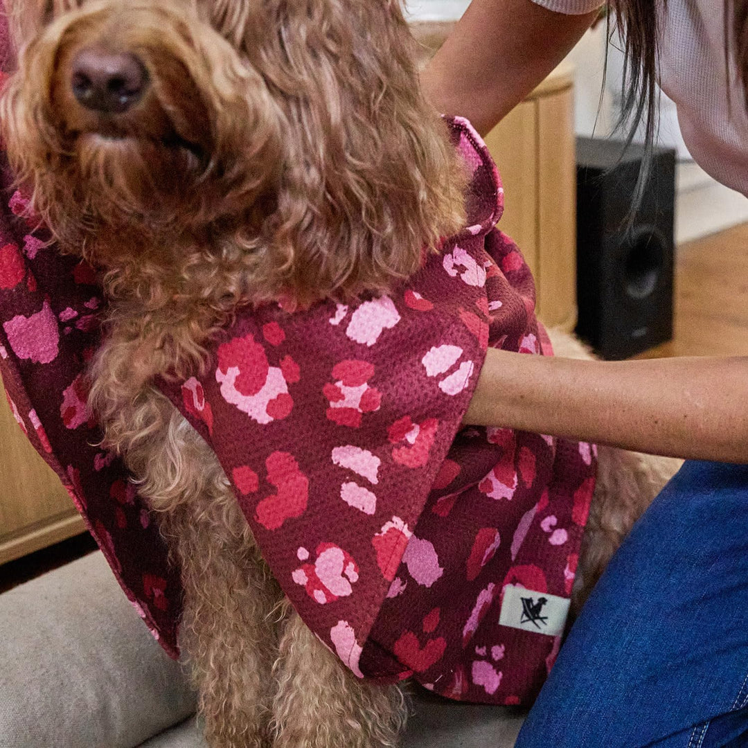 Dock & Bay Hundehandtuch - Besonders saugfähig und schnell trocknendes Handtuch mit Tragetasche - 10