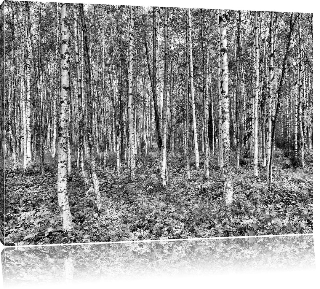 Monocrome, Birkenwald, Format: 100x70 auf Leinwand, XXL riesige Bilder fertig gerahmt mit Keilrahmen