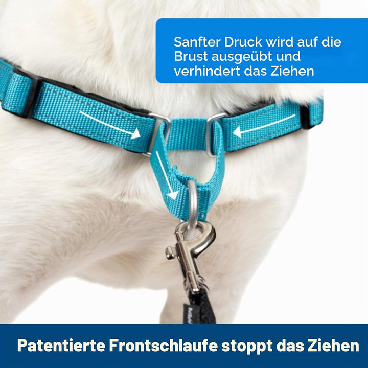 PetSafe Easy Walk Deluxe Geschirr, Gehgeschirr ohne Zug für Hunde, gepolstertes Design, inkl. 1,8 m