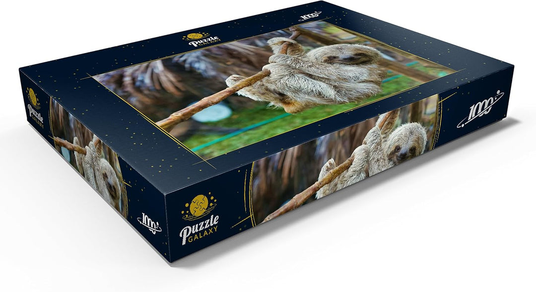 Faultiere im San Jose Rettungszentrum, Costa Rica - Premium 1000 Teile Puzzle - MyPuzzle Sonderkolle