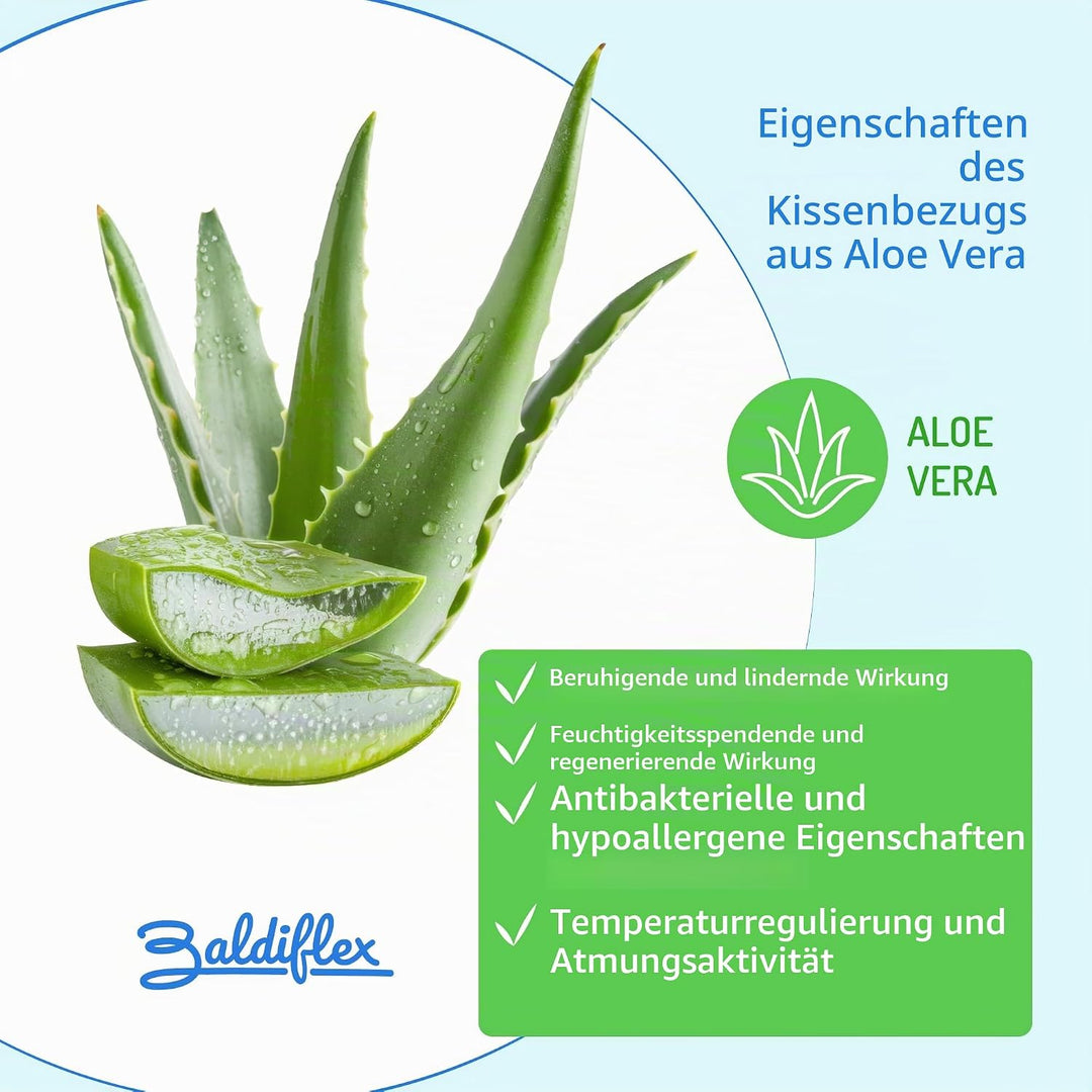 Baldiflex Emporio Kissen, Memory-Schaum, Aloe Vera, Höhe 11 cm, 2 Stück