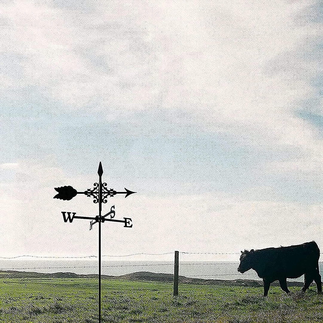 Wetterhahn fürs Dach Wetterhahn Metall Weathervane for Dach - Metall Wetterfahne Mit Pfeil Ornament