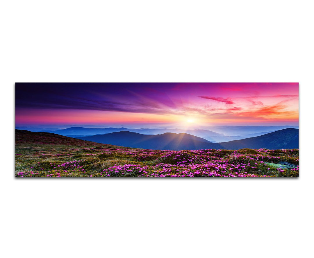 Paul Sinus Art Panoramabild auf Leinwand und Keilrahmen 150x50cm Ukraine Berge Blumenwiese Abendsonn